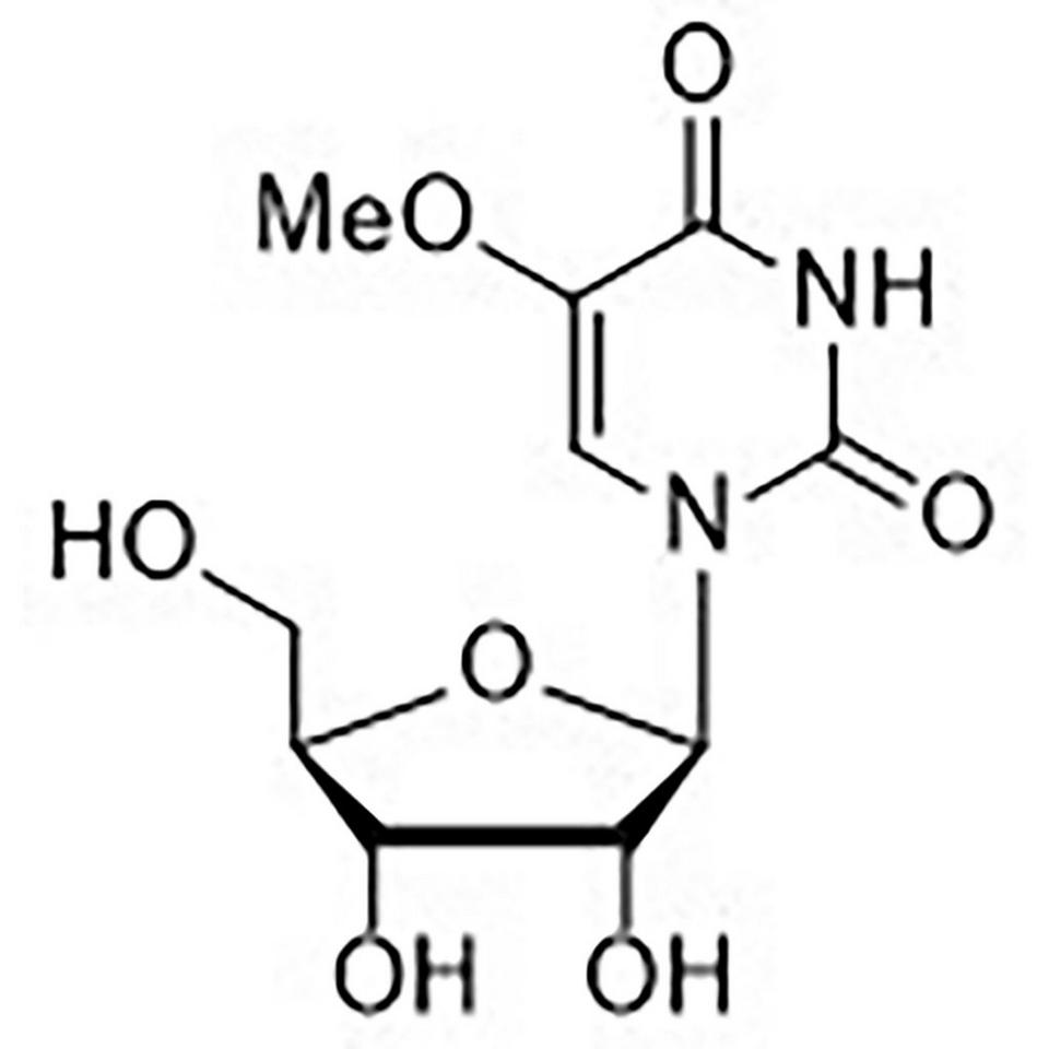 5-Methoxyuridine
